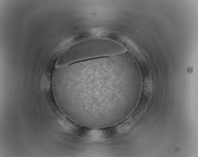 X0000096180413200802011347