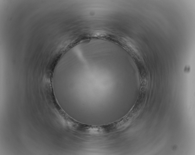 X0000096180415200802011347