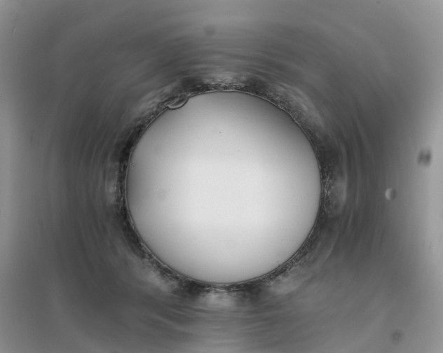 X0000096180416200802011347