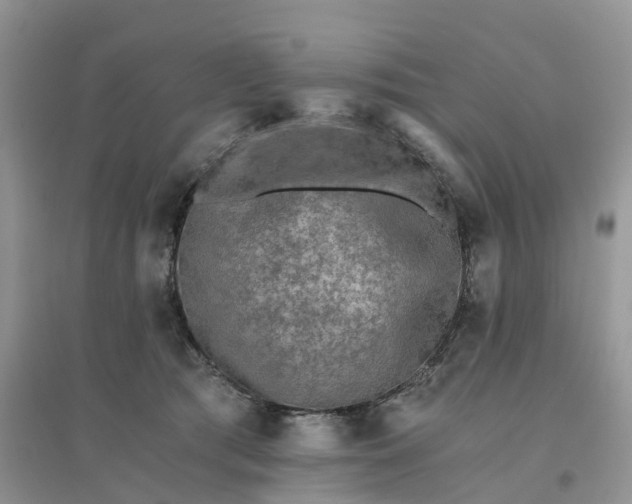 X0000096180417200802011347
