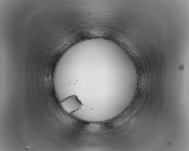 X0000096180418200802011347