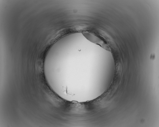 X0000096180421200802011347