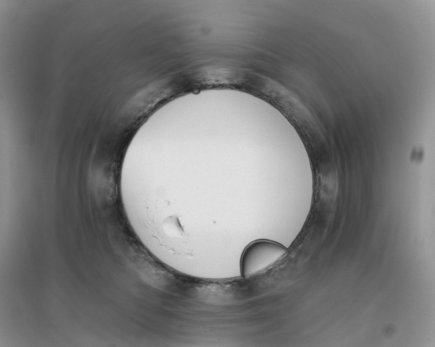 X0000096180422200802011347