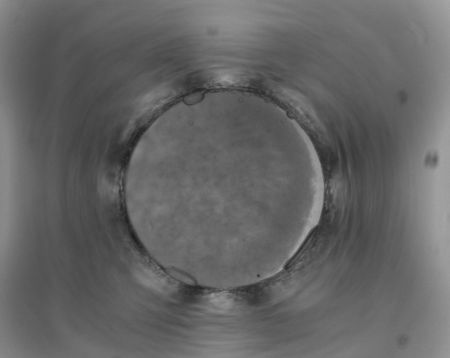 X0000096180423200802011347