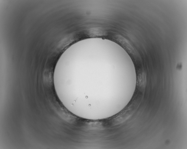 X0000096180426200802011347