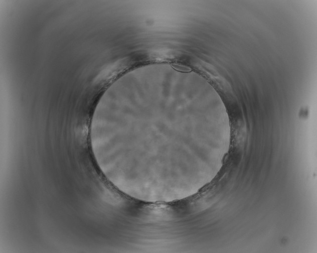 X0000096180427200802011347