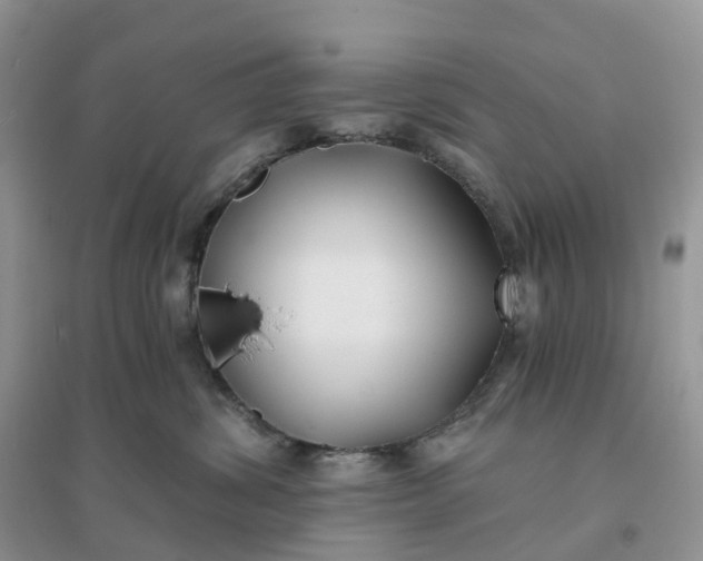 X0000096180428200802011347