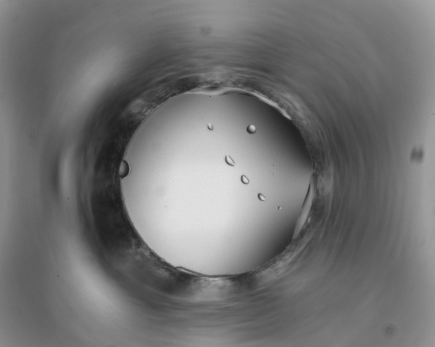 X0000096180429200802011347