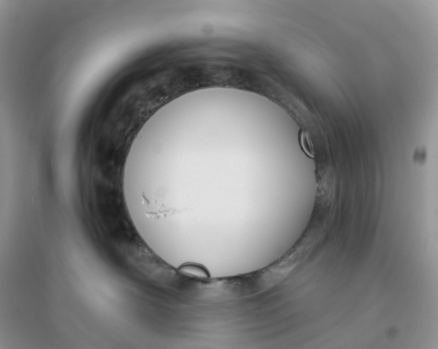 X0000096180430200802011347
