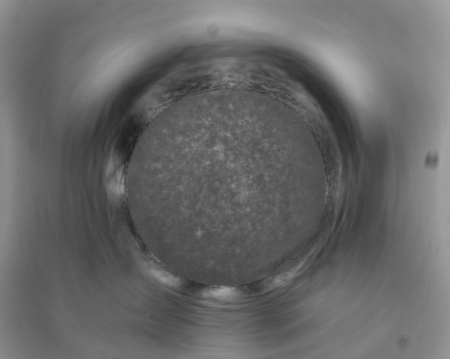 X0000096180431200802011347