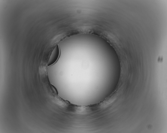 X0000096180432200802011347