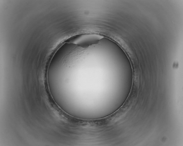X0000096180434200802011346