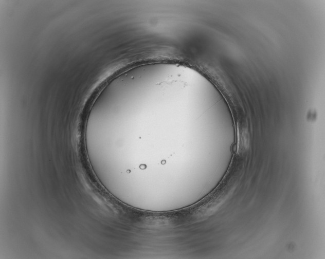 X0000096180435200802011346
