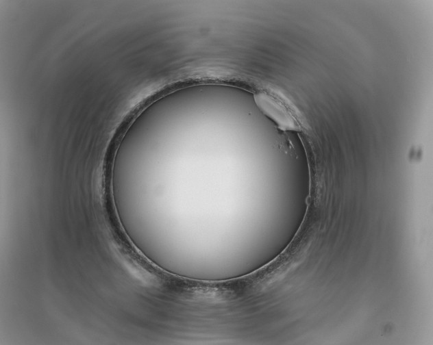 X0000096180439200802011346