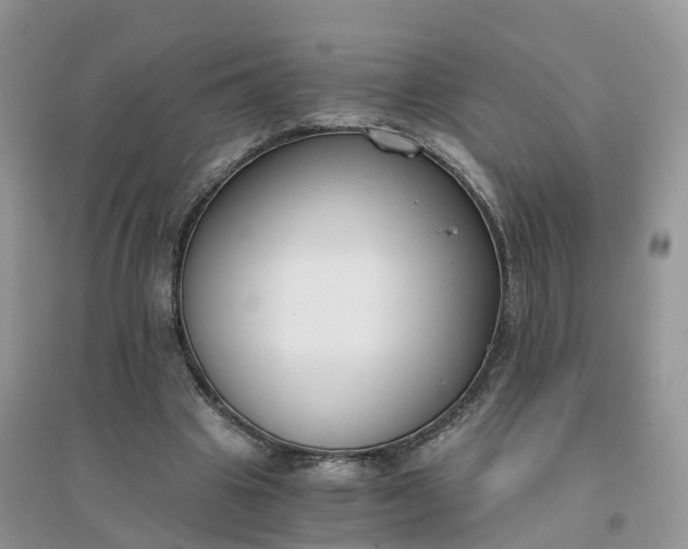 X0000096180441200802011346