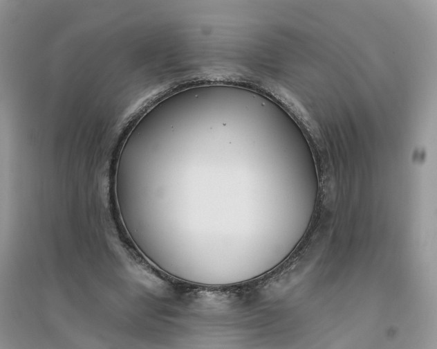 X0000096180442200802011346