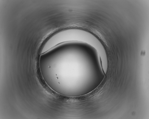 X0000096180444200802011346