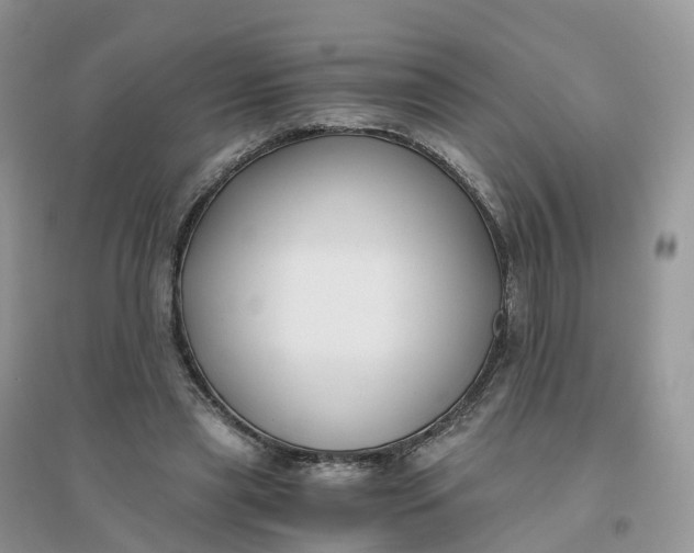 X0000096180445200802011346