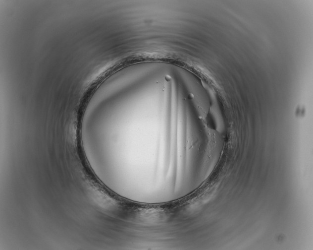 X0000096180446200802011346