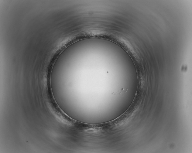 X0000096180447200802011346