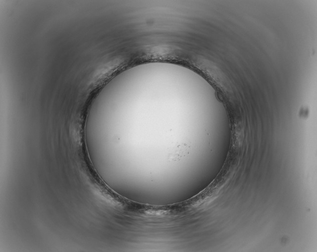X0000096180450200802011346