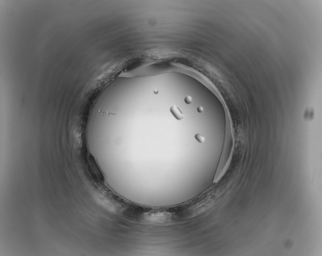 X0000096180452200802011346