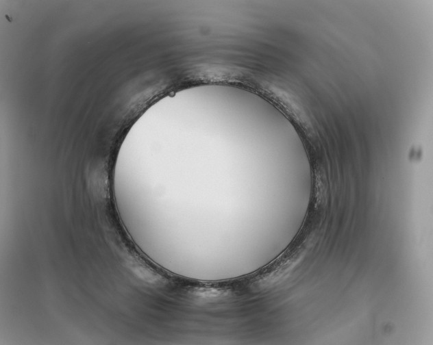 X0000096180453200802011346
