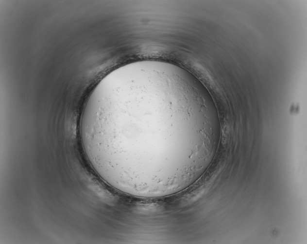 X0000096180454200802011346