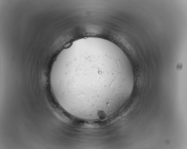 X0000096180455200802011346