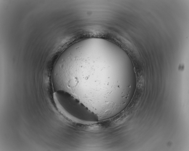 X0000096180456200802011346