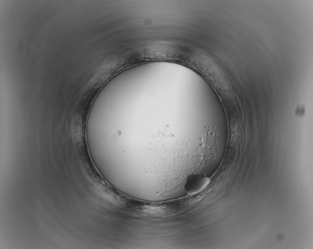 X0000096180457200802011346