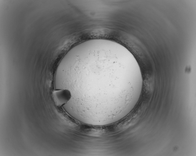 X0000096180458200802011346