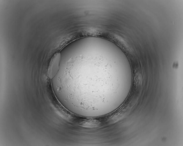 X0000096180459200802011346