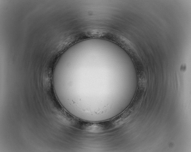 X0000096180460200802011346
