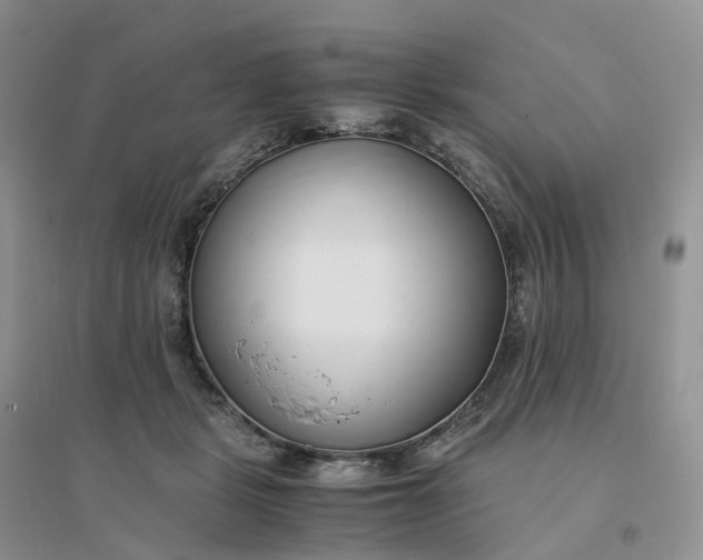 X0000096180461200802011346