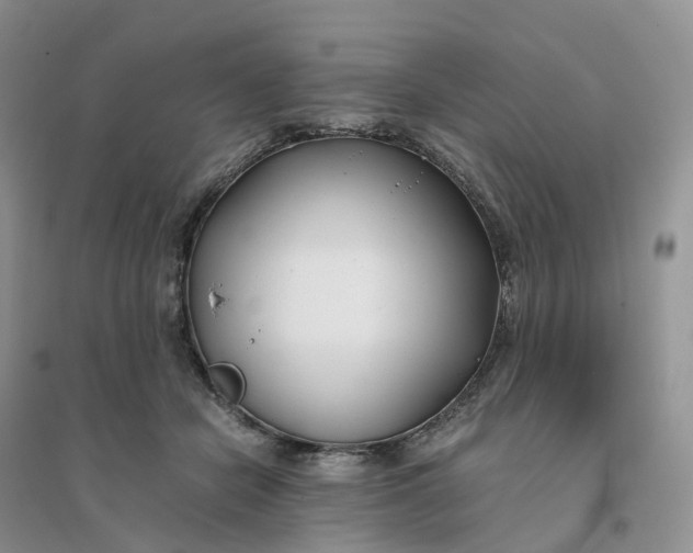 X0000096180462200802011346