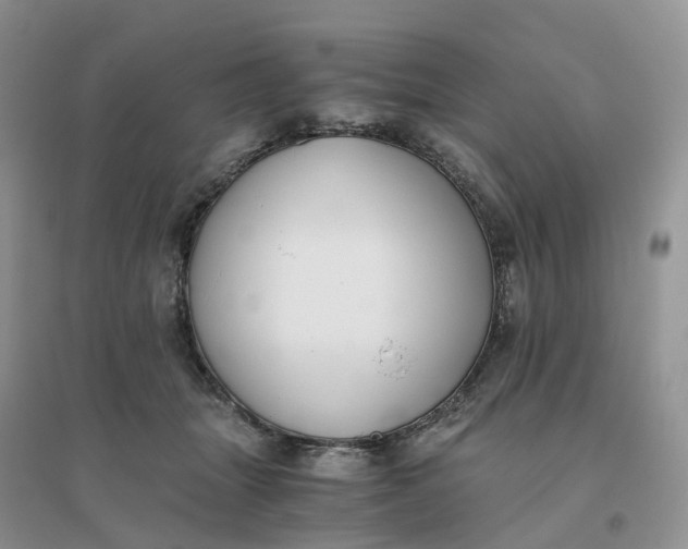 X0000096180463200802011346