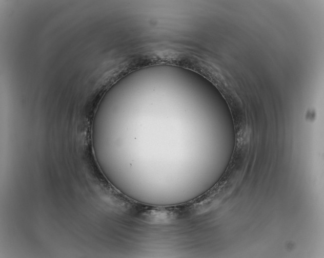 X0000096180464200802011347