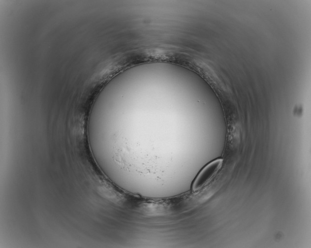 X0000096180466200802011347