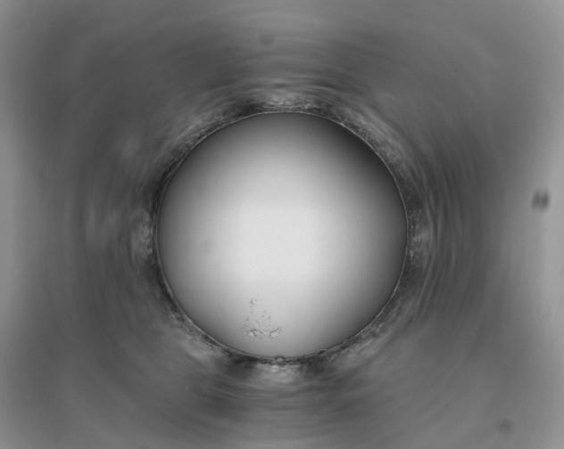 X0000096180469200802011347