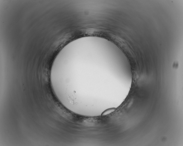 X0000096180470200802011347
