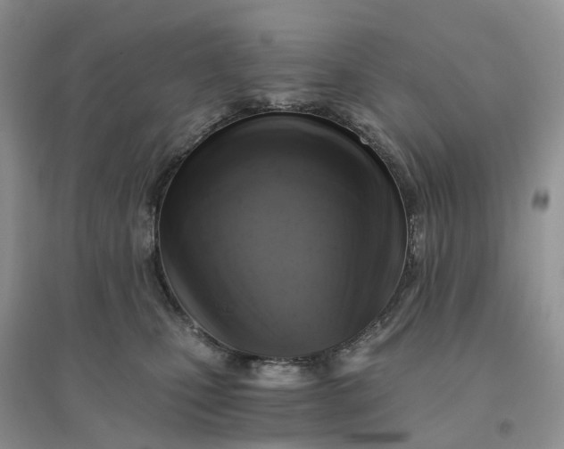 X0000096180471200802011347