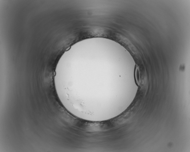 X0000096180473200802011347