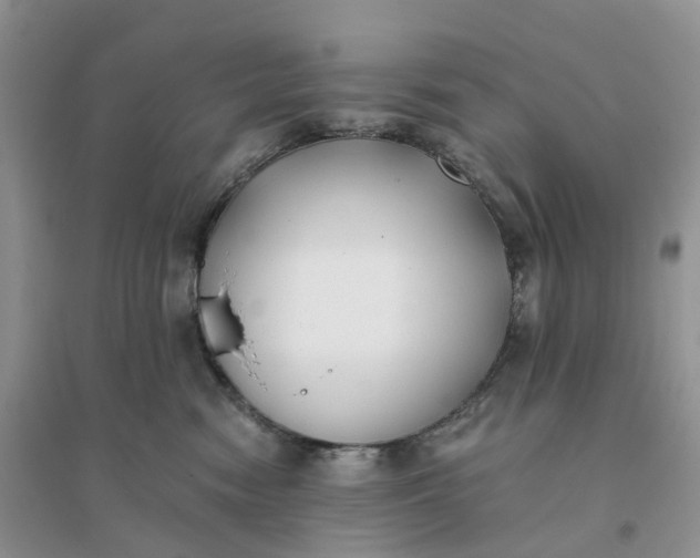 X0000096180474200802011347