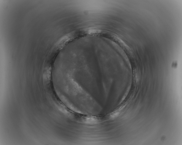 X0000096180475200802011347