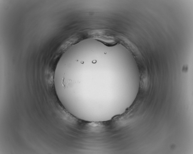 X0000096180477200802011347