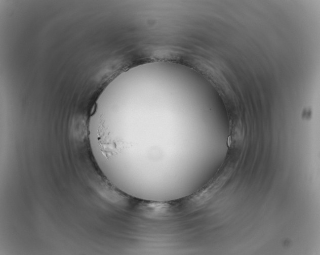 X0000096180478200802011347