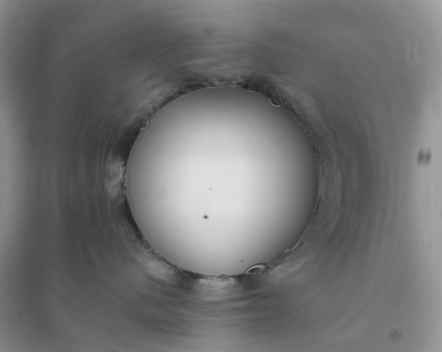 X0000096180480200802011347