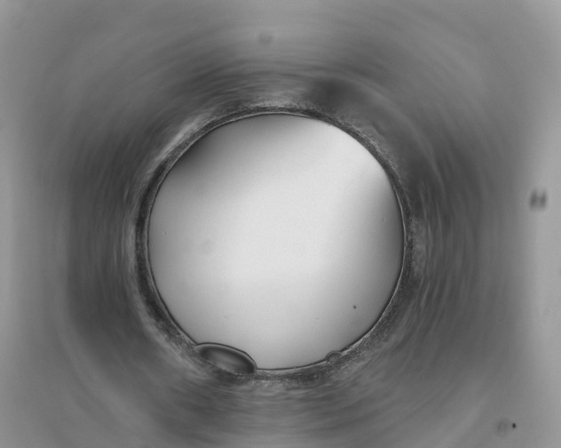 X0000096180482200802011346