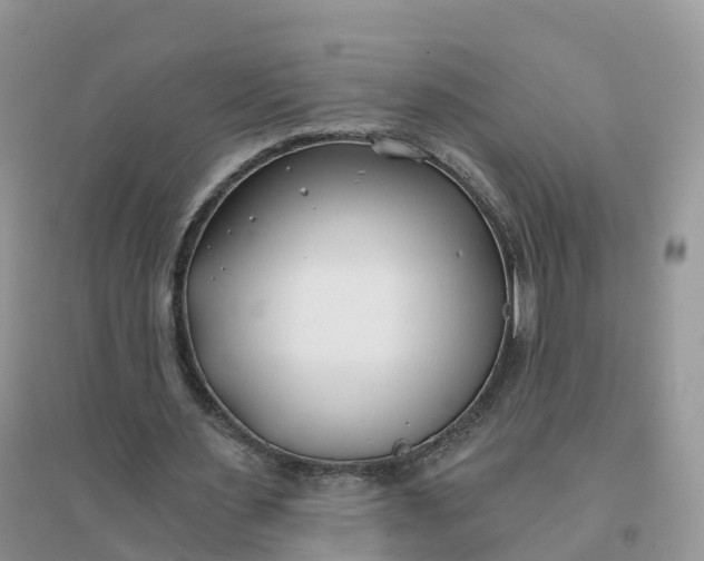 X0000096180483200802011346